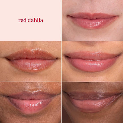 Burt's Bees 100% Natural Tinted Lip Balm