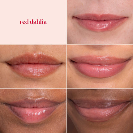 Burt's Bees 100% Natural Tinted Lip Balm