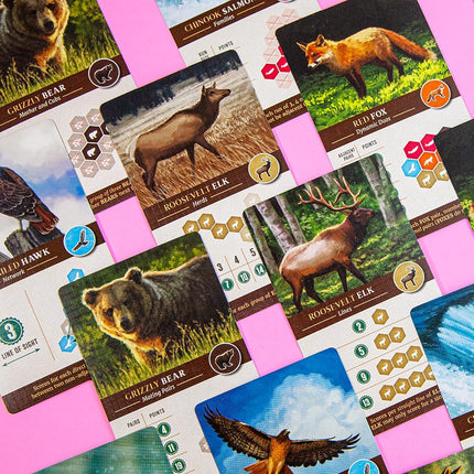 AEG | Cascadia | Family Board Game | Ages 10+| 1-4 Players | 45+ Minutes Playing Time