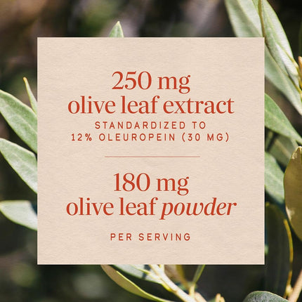 Olive Leaf Standardized