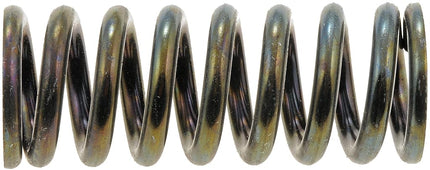 Dorman 38436 Door Hinge Spring