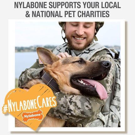 Nylabone Nutri Dent Fresh Breath 78Count Pouch