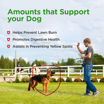Nutri-Vet Grass Guard Chewables for Dogs - Prevent Lawn Burn from Dog Urine - 365 Count