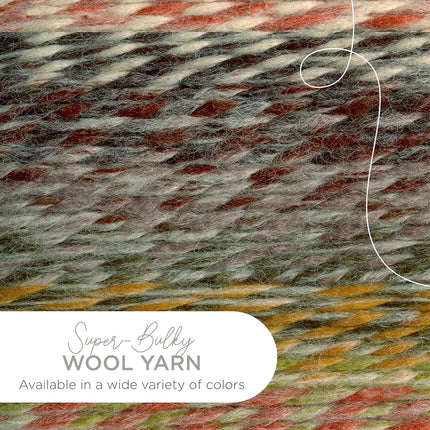 Lion Brand Yarn 640-612-3 Fil, Coney Island, lot de 3