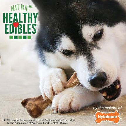Nylabone 1 Count Healthy Edibles Large Wild Bison Dog Treat Bones, 4.9 Oz