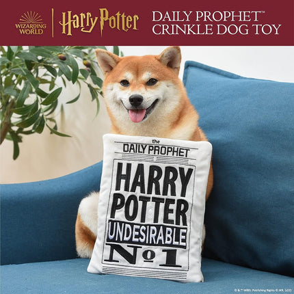 Harry Potter Daily Prophet Newspaper Crinkle Pet Toy - Plush Crinkling Toys for all Dogs, Officially Licensed Design, 11 Inch