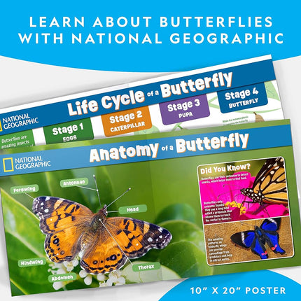 Kit d'élevage de papillons NATIONAL GEOGRAPHIC – Kit d'habitat de papillons avec bon pour échanger 5 chenilles (10,95 $ de frais de port non inclus), cage à papillons, mangeoire (exclusivité Amazon)