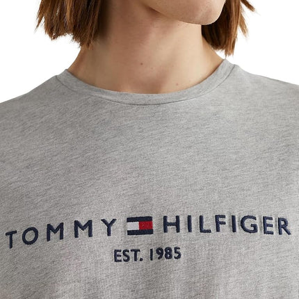 Tommy Hilfiger Men's Short Sleeve Core Tommy Logo Crew Neck T-Shirt, S