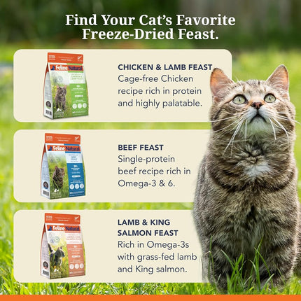 Feline Natural Beef & Hoki Freeze-Dried Cat Food, Grain-Free, 320g