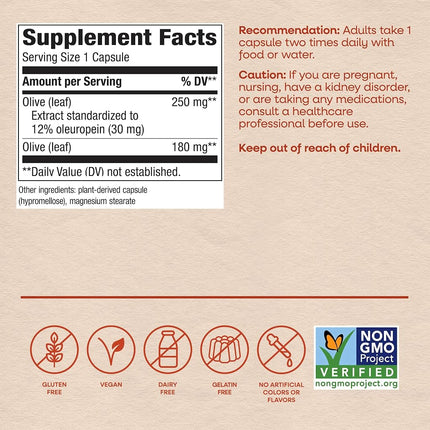 Olive Leaf Standardized