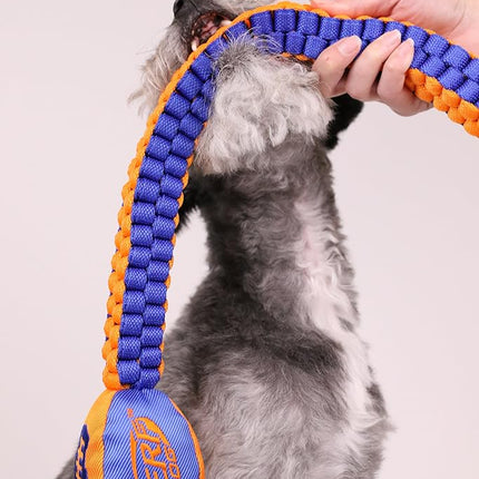 Nerf Dog Vortex Chain Tug Dog Toy with Squeaker Football Head, Lightweight, Durable, Water Resistant, 30 Inches, For Medium to Extra-Large Breeds, Single Unit (3474)