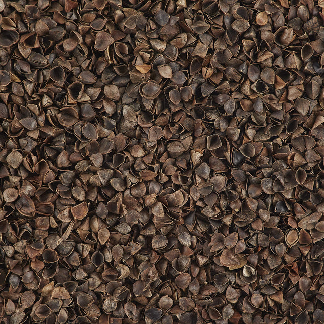 Bucky All Natural Buckwheat Hulls, Pillow Refill, 1 lbs Buckwheat Hulls