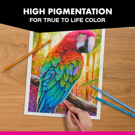 Prismacolor 3599TN Premier Pencils Set 72 Coloured Pencils