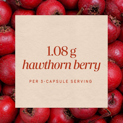 Nature's Way Premium Herbal Hawthorn Berries 510 mg per capsule, 100 VCaps (Packaging May Vary)