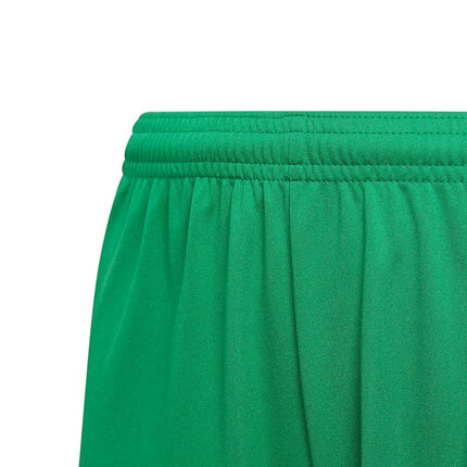 adidas Boys' Squadra 21 Shorts, Team Green/White, X-Large