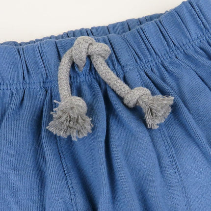 HonestBaby Lot de plusieurs pantalons de jogging Honest pour bébé, à enfiler, 100 % coton biologique, pour nourrissons, tout-petits, garçons, filles, unisexes, lot de 2 bleus dégradés, 6-9 mois (lot de 2)