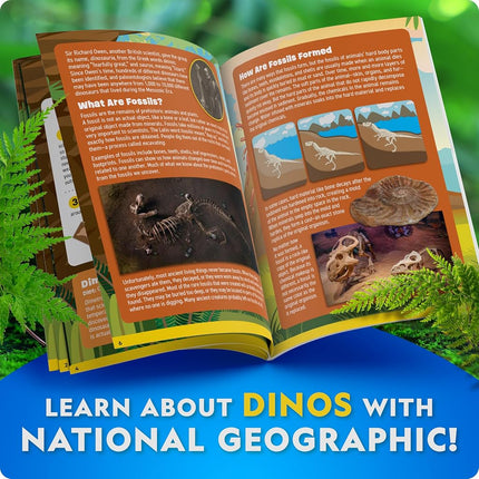 National Geographic Ultimate Dinosaur Activity Kit – 5 Hands-On Activities for Kids 4+, Build a Triceratops, Dig Out a T. Rex Tooth, Paint a Dino Car, Create Clay Dino Models
