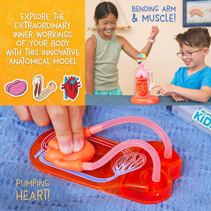 Wow in The World The Amazing Human Body Kit by Thames & Kosmos, Interactive Mechanical Anatomy Model w/Pumping Heart, Lungs, Digestive Tract, Glow-in-The-Dark Bones, Brain & More, Science for Ages 4+