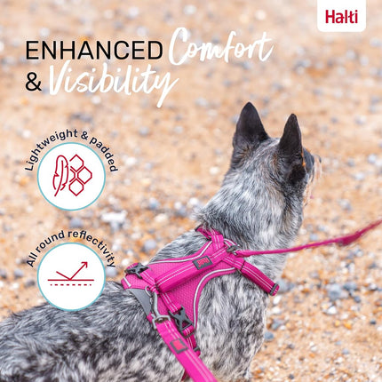 Halti Anatomy Dog Harness with Handle | Size S, Magenta