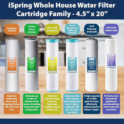iSpring FP220BX2 20 Micron 20-Inch Big Blue Whole House Water Filter with 4.5-Inch x 20-Inch Sediment, 2-Pack