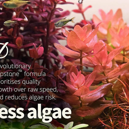 THE 2HR AQUARIST All-in-One APT 1/Zero for Planted Aquariums (1000ml)