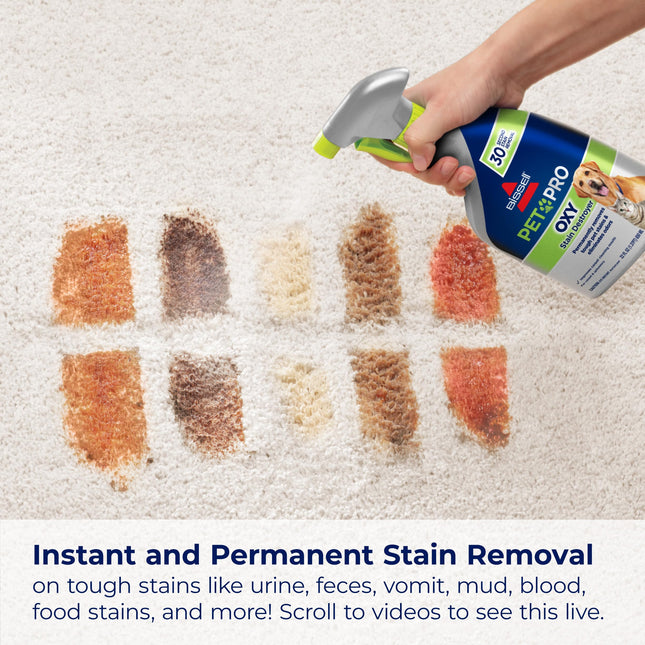 Bissell PET PRO OXY Destructor de manchas para alfombras y tapicerías, 650 ml, paquete de 2, 17739, 650 mililitros