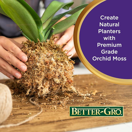 Sun Bulb Better GRO Orchid Moss