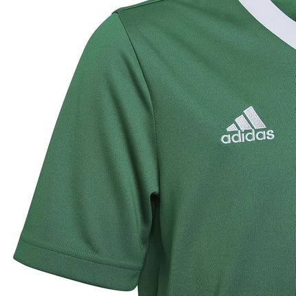 adidas Kids' Entrada 22 Jersey, Team Green/White, Large