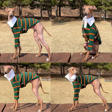 D Doggy Star Clothing for Italian Greyhounds and Whippets, with Collar, Stretchy T-Shirt, (Size M, with Collar, Green)