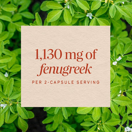 Natures Way Fenugreek Seed, 610 milligrams Per Cap, 180 Vegetarian Capsules