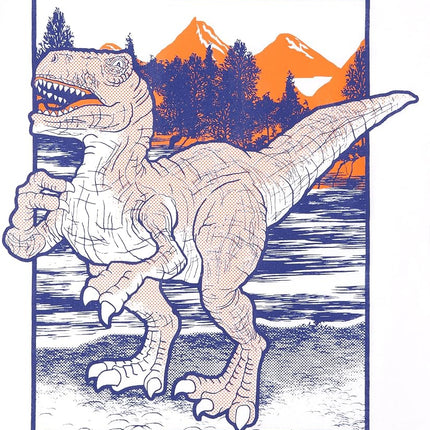 The Children's Place Boys' Short Sleeve Graphic T-Shirts, Multipack, Dino Fight/T. Rex/Dino 3-pack, Medium