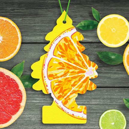 Little Trees Car Air Freshener I Hanging Tree Provides Long Lasting Scent for Auto or Home I Sliced, 6-Packs (4 Count)