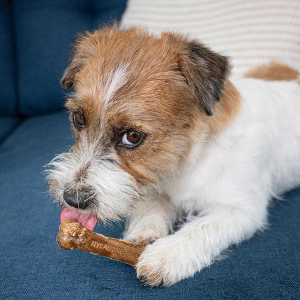 Nylabone Healthy Edibles Roast Beef Flavor Chew Treats for Dog 8 Count Roast Beef X-Small/Petite