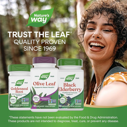Olive Leaf Standardized