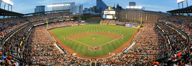 MasterPieces Rompecabezas Deportivo de 1000 Piezas - MLB Baltimore Orioles Vista Panorámica Central - 13"x39"