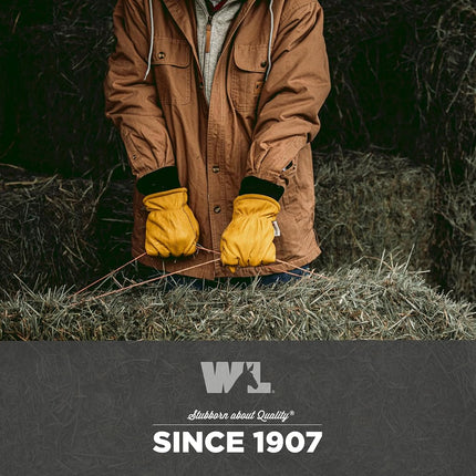 Wells Lamont Mens 1202 Winter Gloves, Saddletan, Large Pack of 1 US