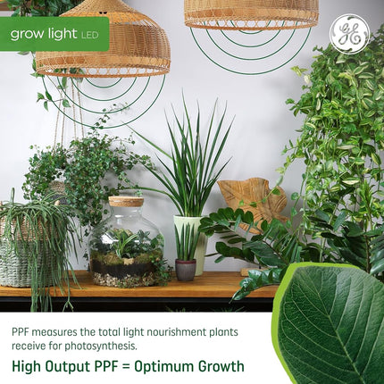 GE Lighting 93101231 Ampoule horticole LED BR30 9 W pour plantes, spectre reproductif rouge