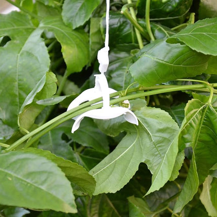 Palram - Canopia Trellising Kit Pro for Canopia Greenhouses