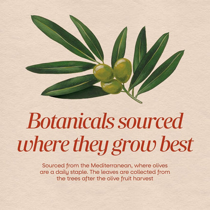 Olive Leaf Standardized