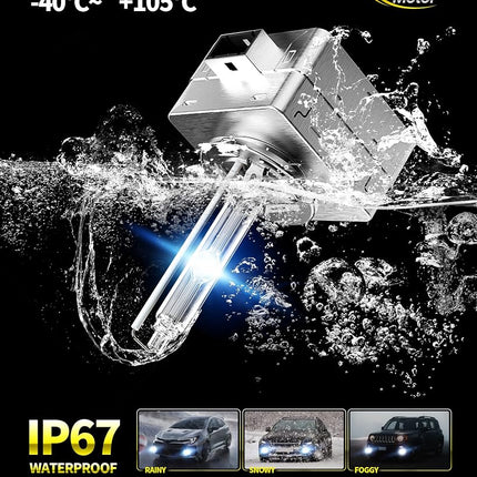 Cougar Motor D3S Ampoule HID 6500K Feu Anti-Brouillard Blanc - Ampoules Xénon Codes/Phares avec Base à Stents Métalliques, Lot de 2