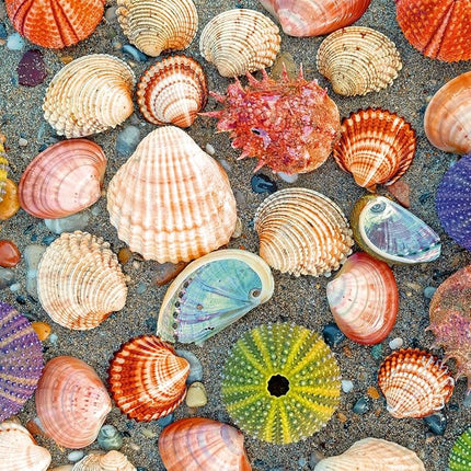 Ravensburger Puzzle Moment: by The Seashore 300 Piece Jigsaw Puzzle for Adults - 12001326 - Handcrafted Tooling, Made in Germany, Every Piece Fits Together Perfectly