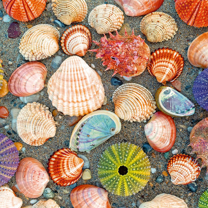 Ravensburger Puzzle Moment: by The Seashore 300 Pi