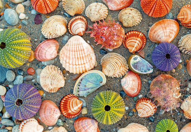 Ravensburger Puzzle Moment: by The Seashore 300 Pi