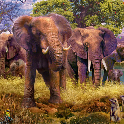 Ravensburger 12000340 - African Animals - 2x 1000 pieces jigsaw puzzle – Puzzle for adults and kids age 14 years up, animal puzzle