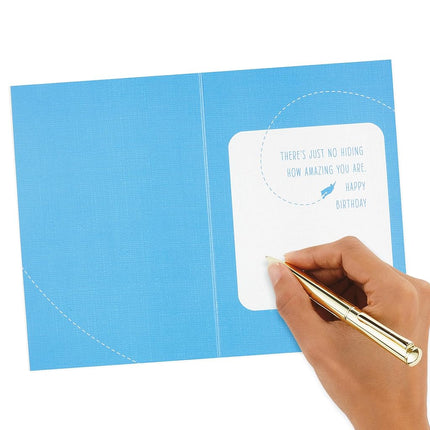 Hallmark Signature Birthday Greeting Card for Him (Superman Silhouette)