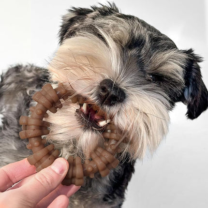 Nylabone Strong Chew Ring Dog Chew Toy Made with Real Beef & Chicken