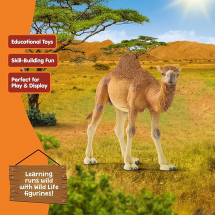 Schleich Wild Life - Dromedary - Camel Toy Figurine - Kids Ages 3+ | 14832