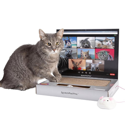 ScratchPad Pro — Griffoir pour chat en carton en forme d'ordinateur portable, excellente idée pour les propriétaires d'animaux de compagnie, jouets interactifs pour chats d'intérieur, fournitures pour chatons et articles pour chats