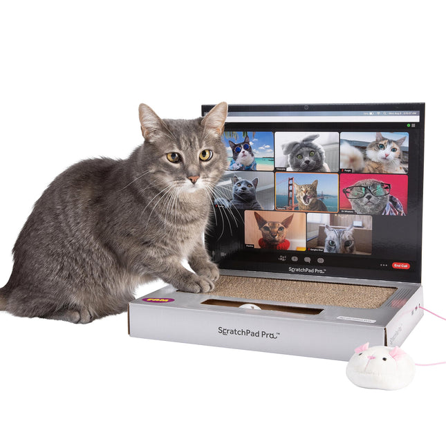 ScratchPad Pro — Cardboard Laptop Cat Scratcher, G