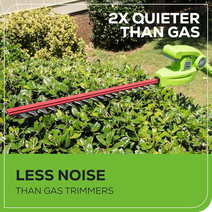 Greenworks 22-Inch 40V Cordless Pole Hedge Trimmer, 2.0 AH Battery Included PH40B210